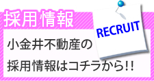 採用情報